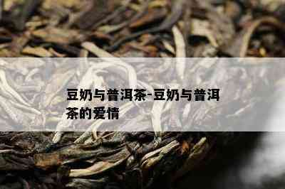 豆奶与普洱茶-豆奶与普洱茶的爱情