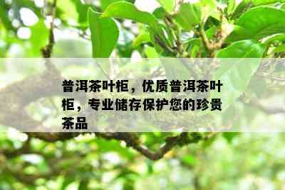 普洱茶叶柜，优质普洱茶叶柜，专业储存保护您的珍贵茶品