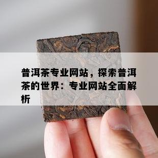 普洱茶专业网站，探索普洱茶的世界：专业网站全面解析