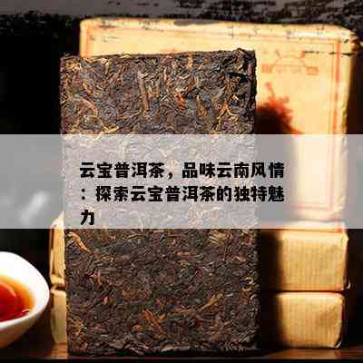 云宝普洱茶，品味云南风情：探索云宝普洱茶的独特魅力