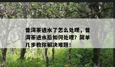 普洱茶进水了怎么解决，普洱茶进水后怎样解决？简单几步教你解决难题！