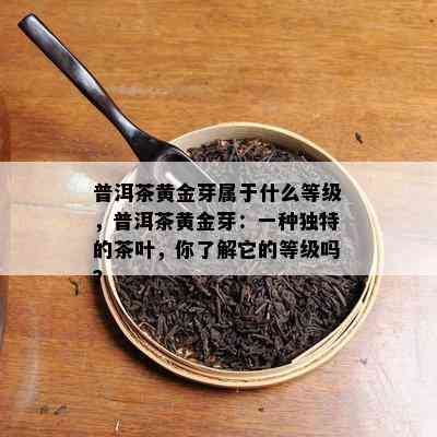 普洱茶黄金芽属于什么等级，普洱茶黄金芽：一种特别的茶叶，你熟悉它的等级吗？