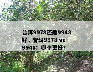 普洱9978还是9948好，普洱9978 vs 9948：哪个更好？