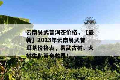 云南易武普洱茶价格，【最新】2023年云南易武普洱茶价格表，易武古树、大树生熟茶全收录！