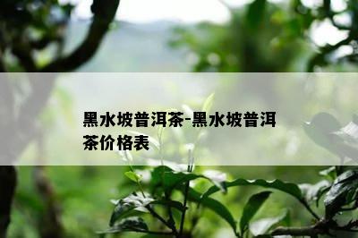 黑水坡普洱茶-黑水坡普洱茶价格表