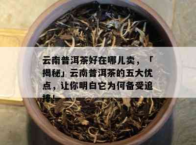 云南普洱茶好在哪儿卖，「揭秘」云南普洱茶的五大优点，让你明白它为何备受追捧！