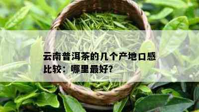 云南普洱茶的几个产地口感比较：哪里更好？