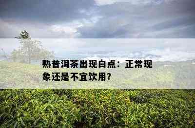 熟普洱茶出现白点：正常现象还是不宜饮用？