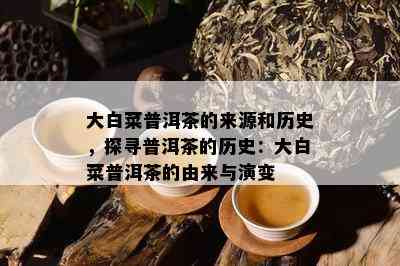 大白菜普洱茶的来源和历史，探寻普洱茶的历史：大白菜普洱茶的由来与演变