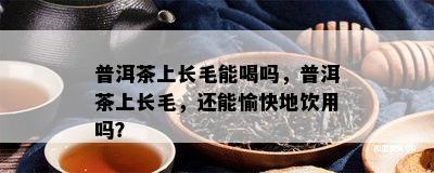 普洱茶上长毛能喝吗，普洱茶上长毛，还能愉快地饮用吗？