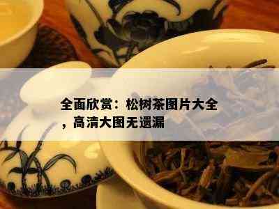 全面欣赏：松树茶图片大全，高清大图无遗漏