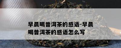 早晨喝普洱茶的感语-早晨喝普洱茶的感语怎么写