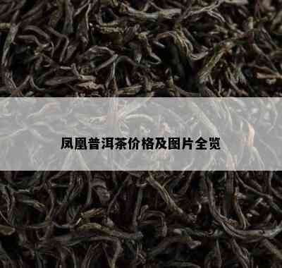 凤凰普洱茶价格及图片全览