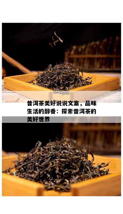 普洱茶美好说说文案，品味生活的醇香：探索普洱茶的美好世界