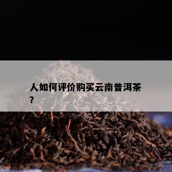 人怎样评价购买云南普洱茶？