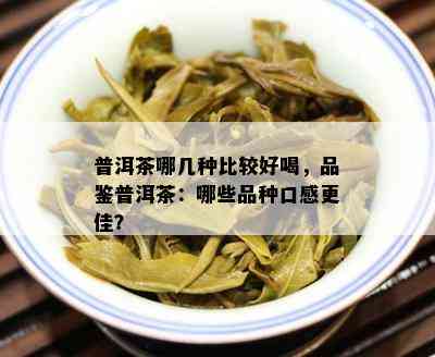 普洱茶哪几种比较好喝，品鉴普洱茶：哪些品种口感更佳？