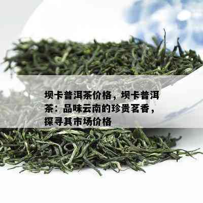 坝卡普洱茶价格，坝卡普洱茶：品味云南的珍贵茗香，探寻其市场价格