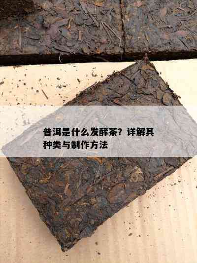 普洱是什么发酵茶？详解其种类与制作方法