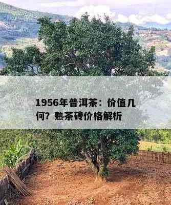 1956年普洱茶：价值几何？熟茶砖价格解析