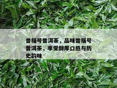 普福号普洱茶，品味普福号普洱茶，享受醇厚口感与历史韵味