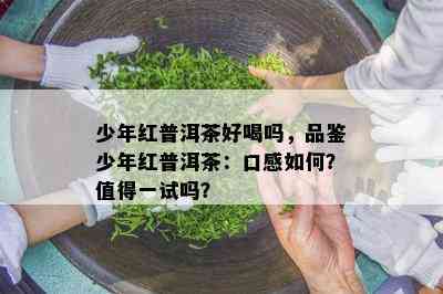 少年红普洱茶好喝吗，品鉴少年红普洱茶：口感如何？值得一试吗？