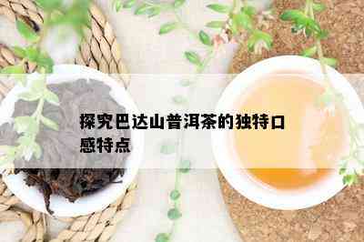 探究巴达山普洱茶的独特口感特点