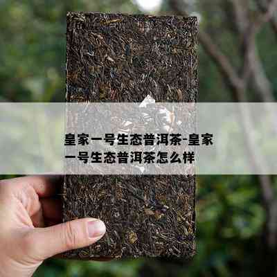 皇家一号生态普洱茶-皇家一号生态普洱茶怎么样