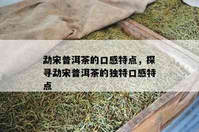 勐宋普洱茶的口感特点，探寻勐宋普洱茶的特别口感特点