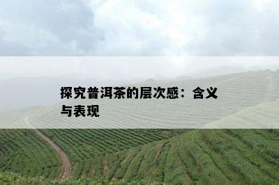 探究普洱茶的层次感：含义与表现