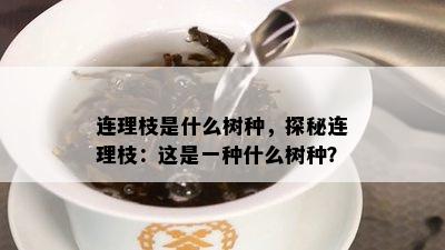 连理枝是什么树种，探秘连理枝：这是一种什么树种？