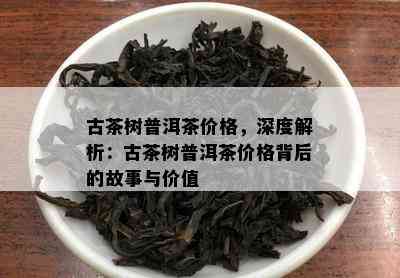 古茶树普洱茶价格，深度解析：古茶树普洱茶价格背后的故事与价值