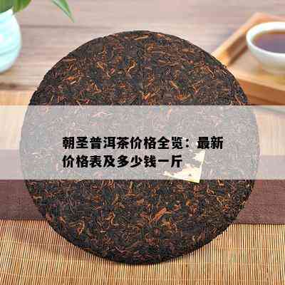 朝圣普洱茶价格全览：最新价格表及多少钱一斤