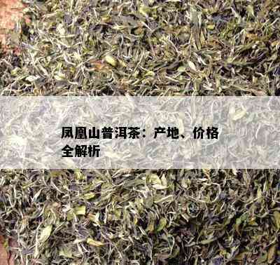 凤凰山普洱茶：产地、价格全解析