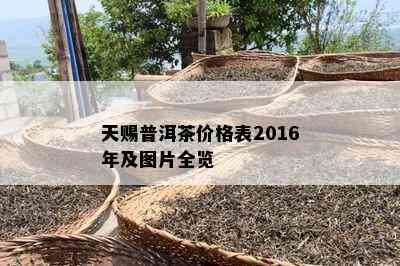 天赐普洱茶价格表2016年及图片全览