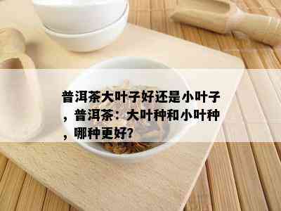 普洱茶大叶子好还是小叶子，普洱茶：大叶种和小叶种，哪种更好？