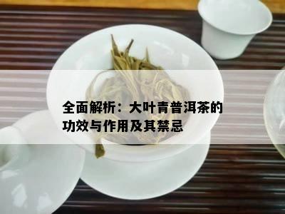 全面解析：大叶青普洱茶的功效与作用及其禁忌