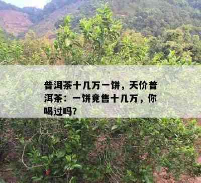 普洱茶十几万一饼，天价普洱茶：一饼竟售十几万，你喝过吗？