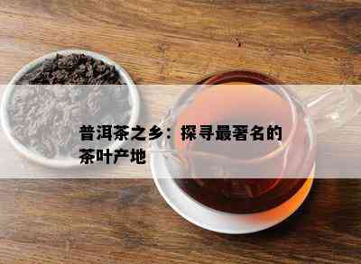 普洱茶之乡：探寻最著名的茶叶产地