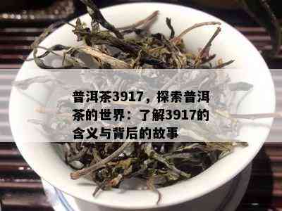 普洱茶3917，探索普洱茶的世界：了解3917的含义与背后的故事