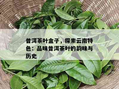 普洱茶叶盒子，探索云南特色：品味普洱茶叶的韵味与历史