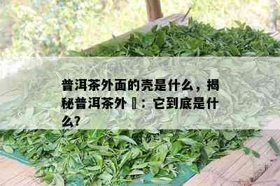 普洱茶外面的壳是什么，揭秘普洱茶外売：它到底是什么？