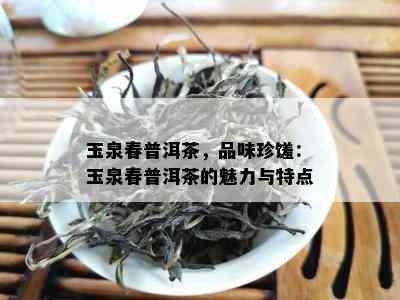 玉泉春普洱茶，品味珍馐：玉泉春普洱茶的魅力与特点