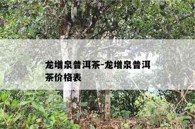 龙增泉普洱茶-龙增泉普洱茶价格表