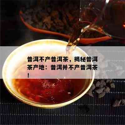 普洱不产普洱茶，揭秘普洱茶产地：普洱并不产普洱茶！