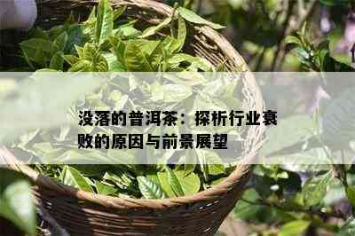 没落的普洱茶：探析行业衰败的起因与前景展望