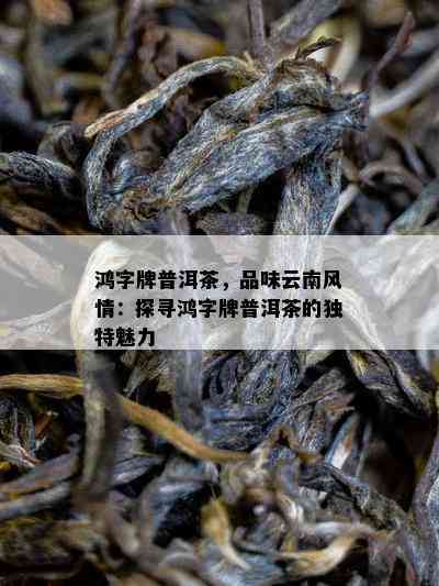 鸿字牌普洱茶，品味云南风情：探寻鸿字牌普洱茶的独特魅力