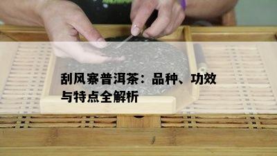 刮风寨普洱茶：品种、功效与特点全解析