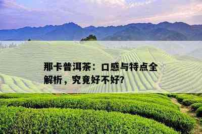 那卡普洱茶：口感与特点全解析，究竟好不好？