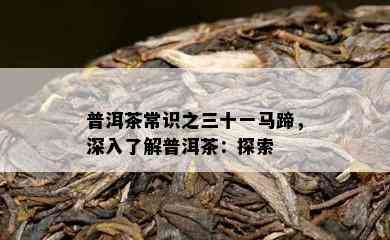 普洱茶常识之三十一马蹄，深入熟悉普洱茶：探索