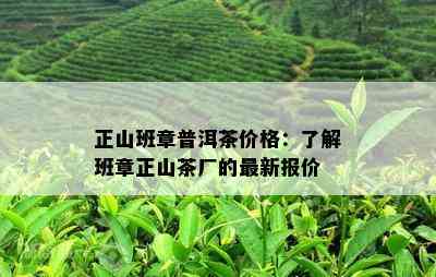 正山班章普洱茶价格：了解班章正山茶厂的最新报价